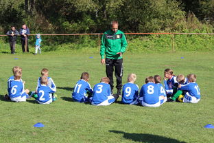 乐鱼电竞在线平台登录入口-意甲赛事中应用心理暗示战术干预效果研究