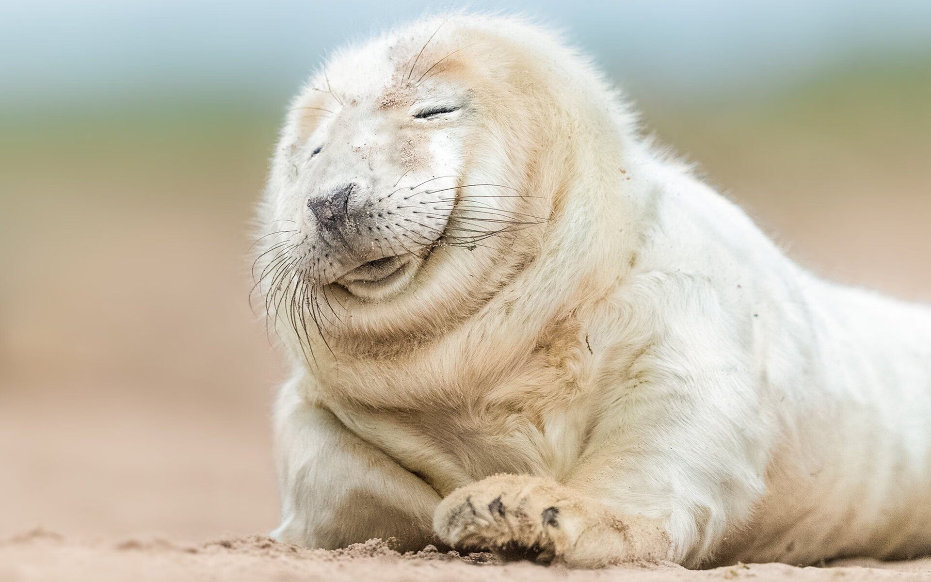 乐鱼电竞· (中国)官方网站-“沙滩手球：力量与技巧的完美结合”