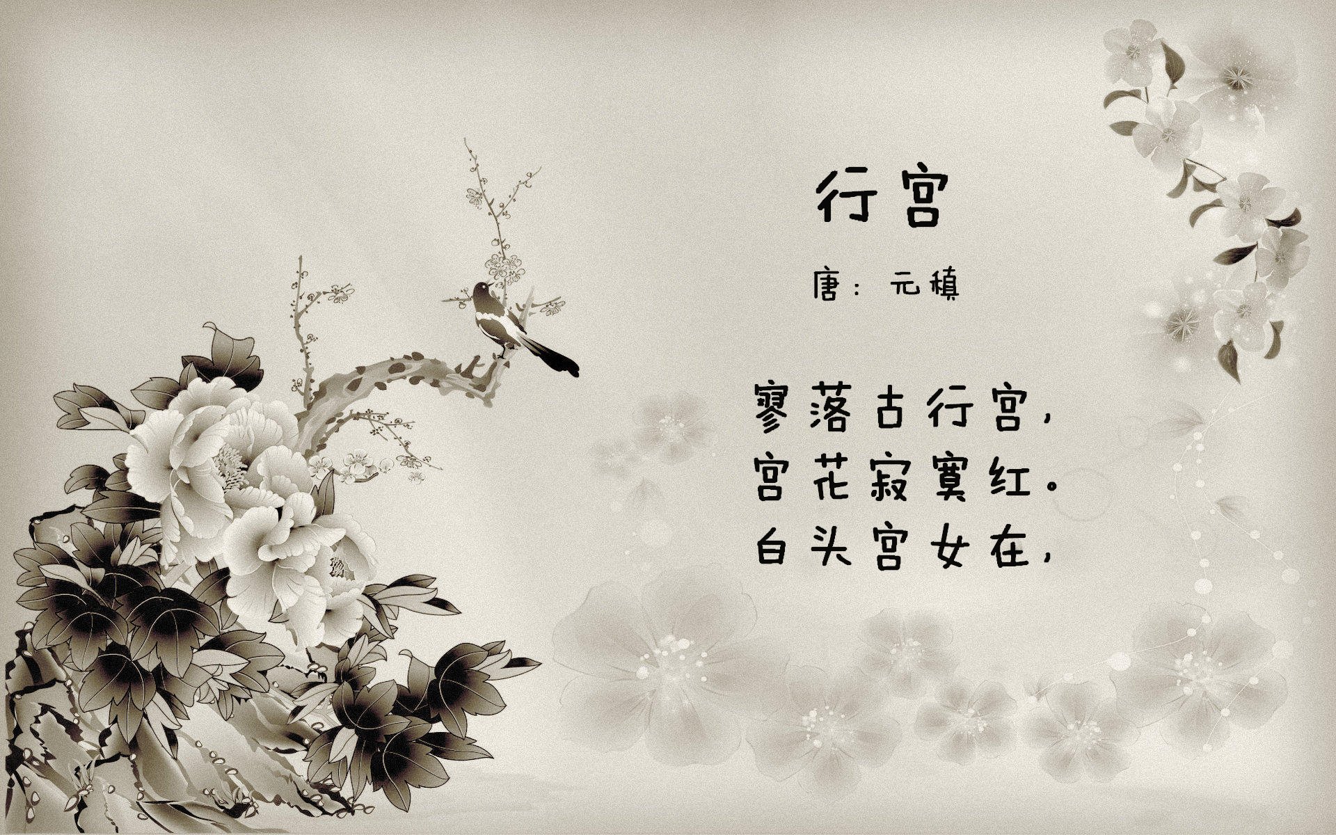 波兰队赛制解读:团体赛中的决策时刻如何迅速应对,波兰队员