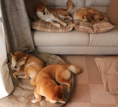 掘金轮换阵容稳定带来持续火力输出，掘金阵容变化