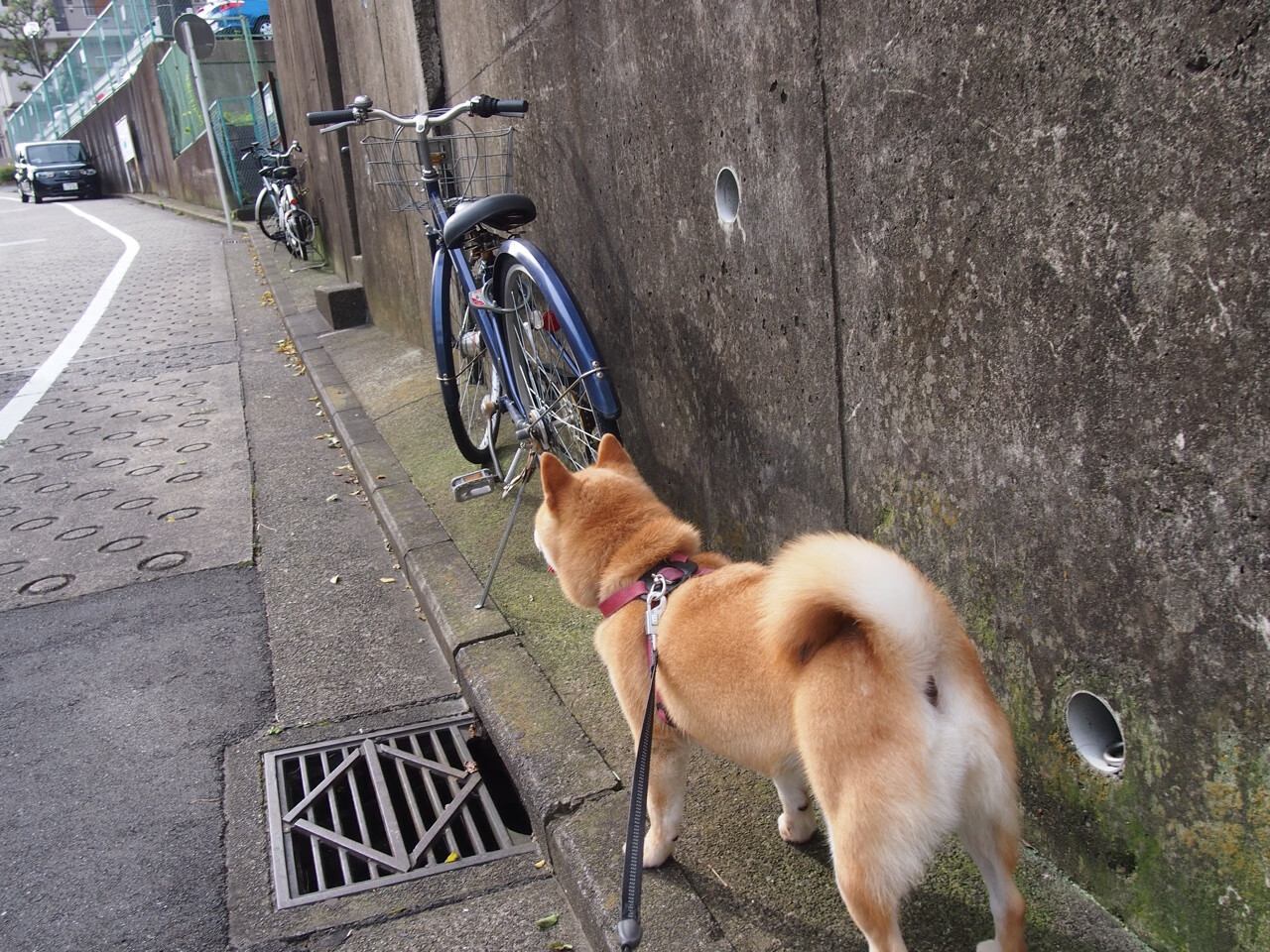 LEYU乐鱼体育官方网站-主帅形容U22国足球员像11个“兵马俑”坚守阵地