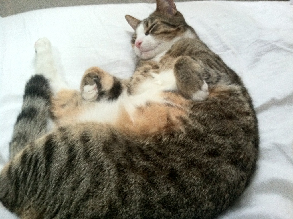 五大联赛关键失误影响比赛评分机制升级,五大联赛赛制晋级规则